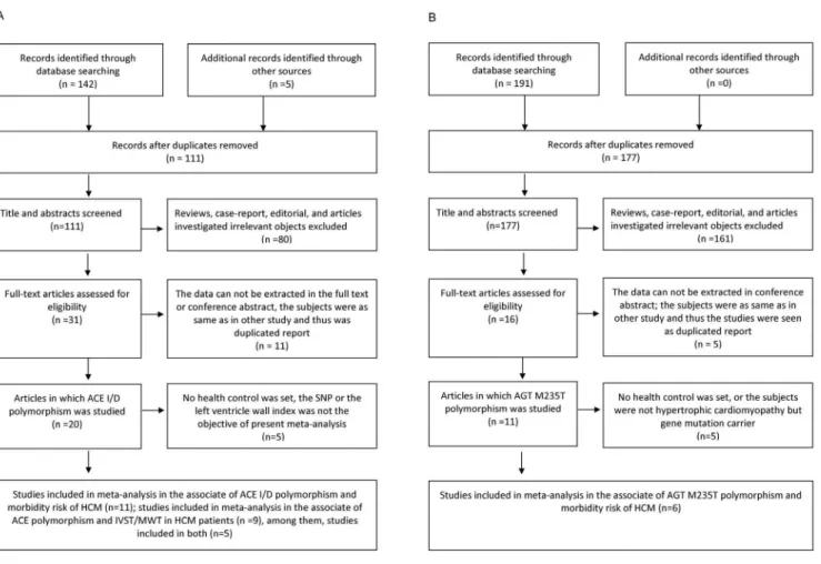 Figure 1. Flow diagram of studies selection. IVST, interventricular septum thickness; SNP, Single Nucleotide Polymorphism