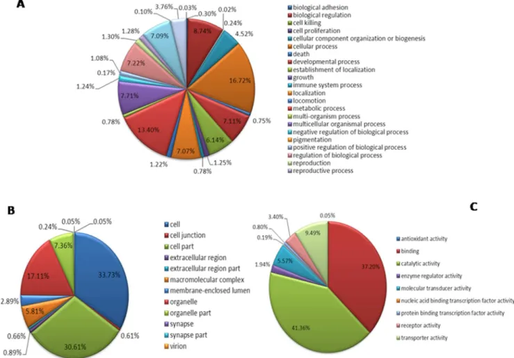 Figure 4. Gene Ontology annotation and classification of the CSM transcriptome. A: Biological process B: Cellular component C: Molecular function.