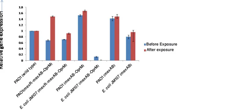 Fig 3. Expression of mexA gene before and after single dose exposure in transformants.