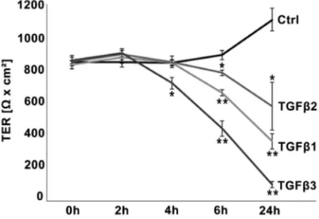Figure 1. Time-dependent TGFb effects on TER in the BEB in vitro model. TGFbs decreased epithelial barrier in a time-dependent manner