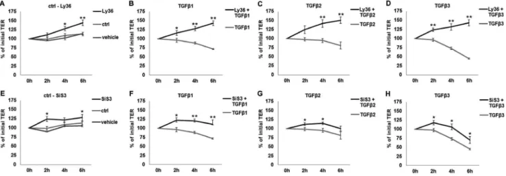 Figure 5. Time-dependent effects of TGFb pathway inhibitors on TER in the in vitro model