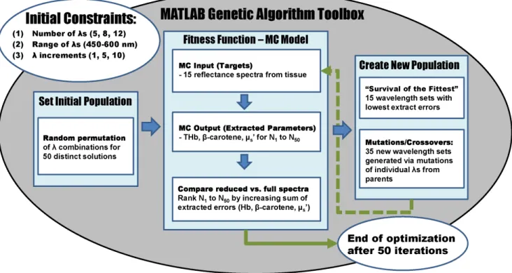 Table 2. Average m a (450–600 nm) of liquid phantoms containing hemoglobin, crocin, and polystyrene microspheres.