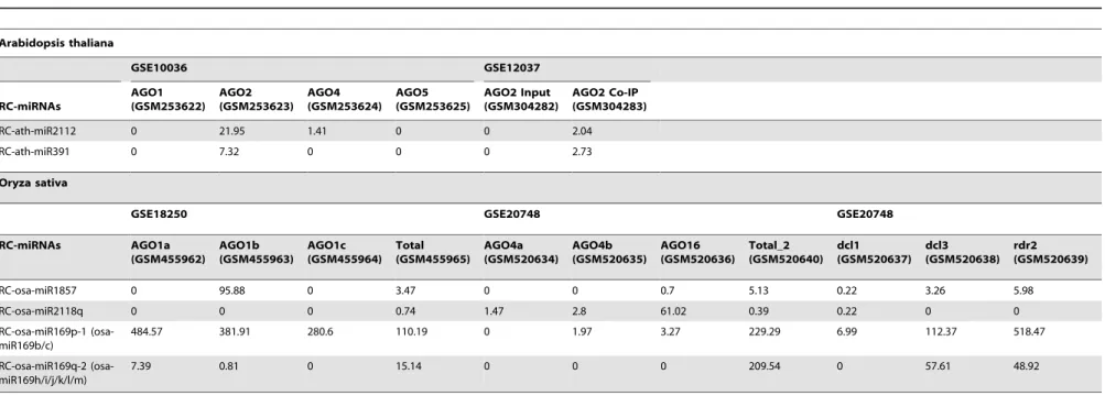 Table 1. High-throughput sequencing data-based biogenesis and Argonaute (AGO) sorting analysis of the highly accumulated reverse complementary microRNAs (RC-miRNAs) in Arabidopsis and rice.