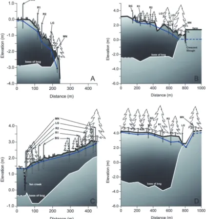 Fig. 2. Topographic profiles for: (A) Tow Hill bog, (B) Burns Bog – SW, (C) Blaney Bog (left = FN, right = UP), and (D) Surrey Bend, with the locations of the sampling points