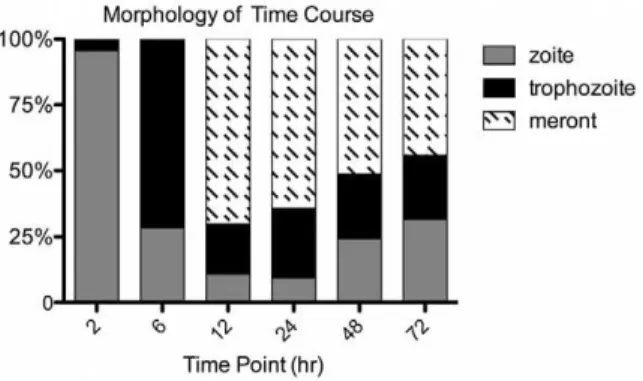 Figure 2. Expression by Chromosome. For each time point, the number of genes with detectable expression (non-zero) was quantified by chromosomal location.