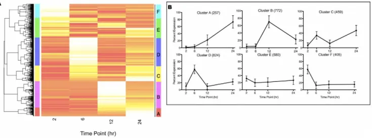 Figure 6. C. parvum Transcriptome 2–24 hr Relative Expression Cluster Analysis. The DIANA algorithm was used to cluster each gene’s relative expression using the absolute cosign distance metric