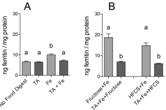 Figure 3. Effect of tannic acid (TA) and fructose, or TA and high-fructose corn syrup (HFCS), on iron-induced ferritin formation