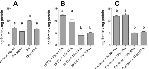 Figure 4. Effect of phytic acid (PA) and fructose, or high-fructose corn syrup (HFCS), on iron-induced ferritin formation
