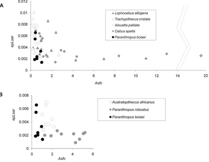 Table 1. Comparisons of Paranthropus boisei with extant species. F df p Central tendencies MANOVA Wilks’ l 7.18 8, 104 0.00 ANOVA Asfc 14.98 2, 23 0.00 ANOVA epLsar 2.50 2, 23 0.05