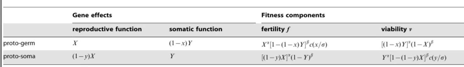 Table 1. Gene effects on reproductive and somatic function as well as fertility and viability of the proto-germ and proto-soma cells in the general model.