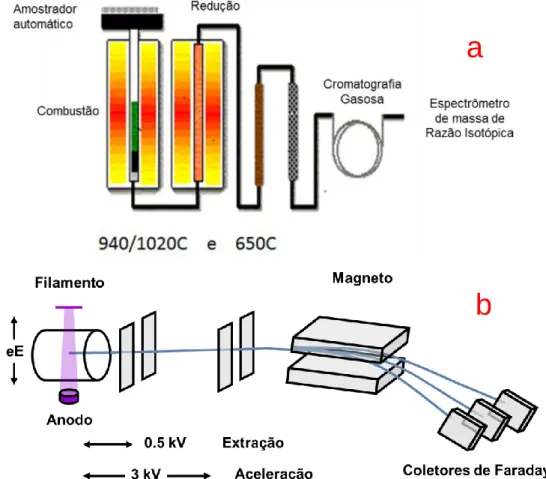 Figura 8 - Diagrama esquemático do IRMS a) sistema Flash EA HT; b) Espectrometro de massa de  Razão  Isotópica