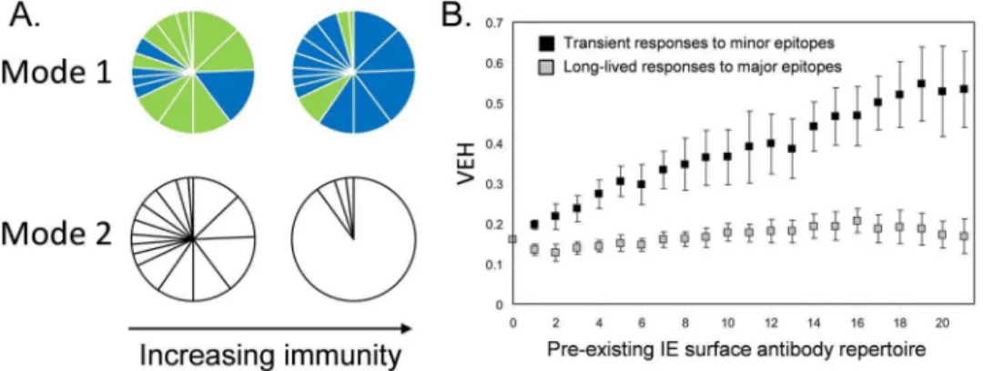 Figure 5. Modeling the relationship between VEH and host IE surface antibodies. In (A) we use pie charts to represent two modes in which acquired immunity may modify the parasite population in a single host