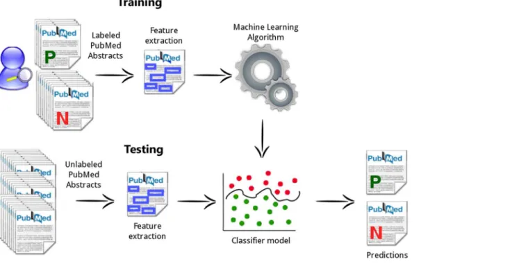 Fig. 1. System Workflow. mycoSORT Training and Testing processes.