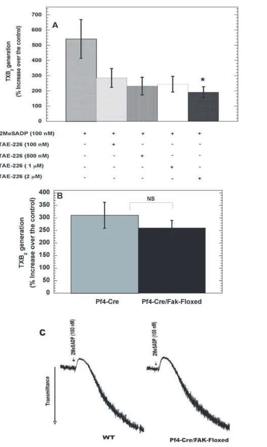 Figure 5. Evaluation of FAK as a common signaling effector molecule regulating thromboxane generation downstream of integrins and G 12/13 pathways