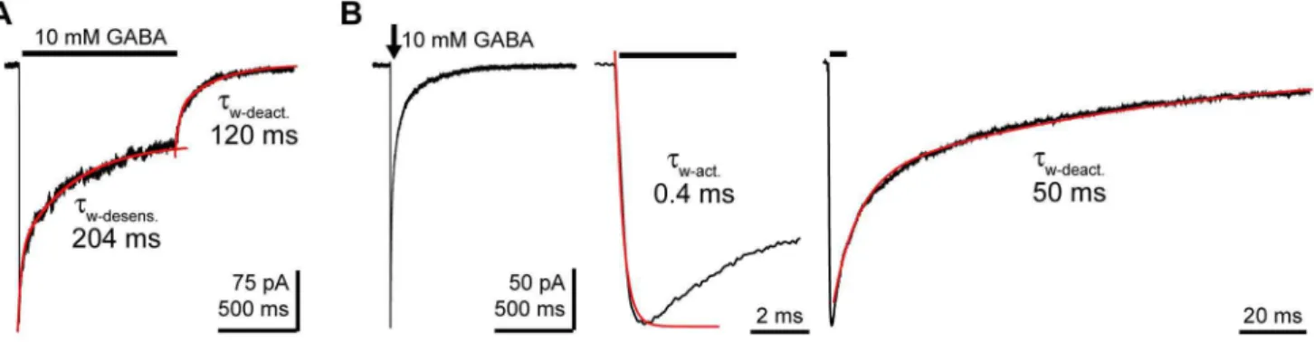 Figure 3. Cysteamine activation of ELIC. Outside-out patch-clamp recordings from HEK-293T cells expressing ELIC