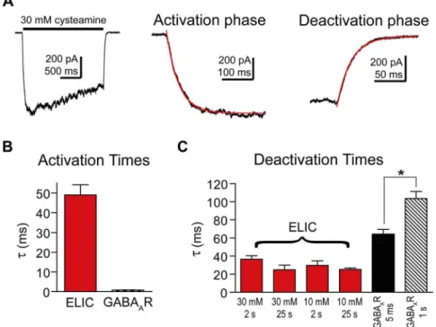 Figure 5. Macroscopic ELIC current desensitization. A) The desensitization phase of ELIC current evoked by a 25 s pulse of 30 mM cysteamine was fit with a single-exponential function (red curve)