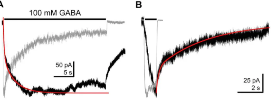Figure 7. Proton induced GLIC currents. A) GLIC currents evoked by alternating 2 s jumps from pH 7.6 to the indicated values
