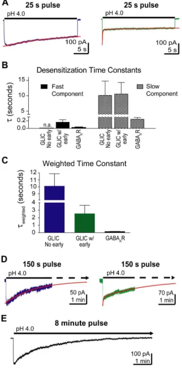 Figure S1 Endogenous proton-activated currents are blocked by amiloride. Outside-out patch-clamp recordings from mock-transfected HEK-293T cells