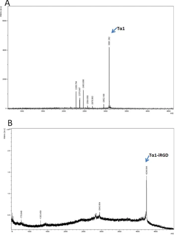 Figure 2. Mass spectroscopy result of recombinant Ta1 or Ta1-iRGD. A. Ta1; B. Ta1-iRGD.