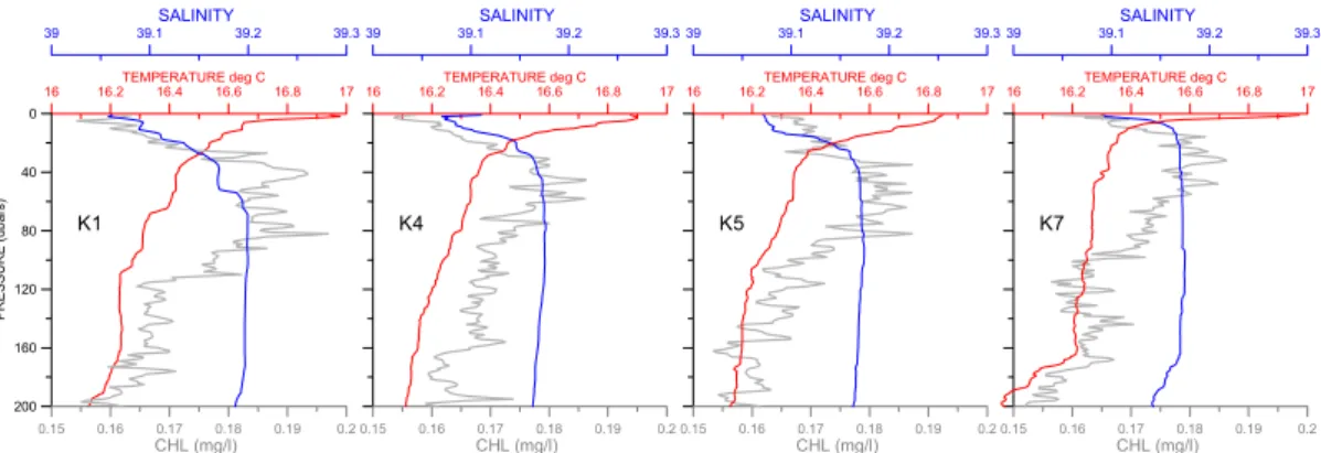 Fig. 4. Distribution of Temperature (red line), Salinity (blue line) and Chlorophyll-a (grey line) versus depth (down to 200 m)