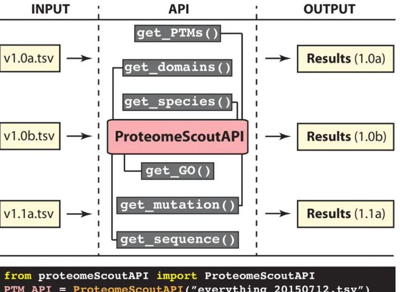 Fig 1. ProteomeScout API and its application to reproducible analyses. The API block gives examples of functions that operate on a tab-separated file, which can be downloaded from ProteomeScout [16]
