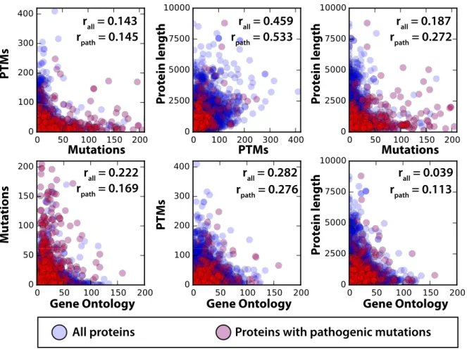 Fig 3. Correlation between protein annotations. Scatter plots for all comparisons of the number of annotations per protein or the length of the protein.