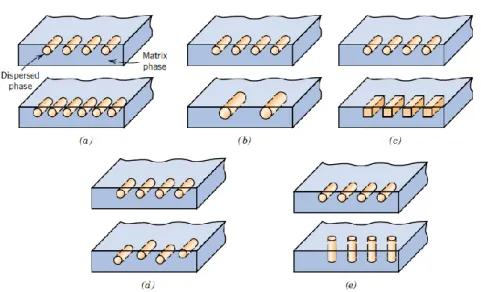 Figura 2 – Fatores de que dependem as propriedades dos compósitos. a) Concentração; b) Tamanho; c) Forma; d)  Distribuição; e) Orientação; [9] 