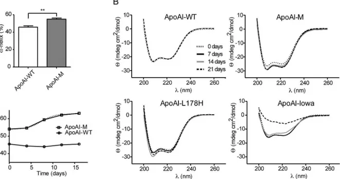 Figure 3. Structural transitions of apoA-I proteins assayed by CD spectroscopy. A, The alpha helical content was calculated from the value of molar ellipticity at the wavelength 222 nm at the time point 0 days for apoAI-WT and apoAI-M (25 u C)