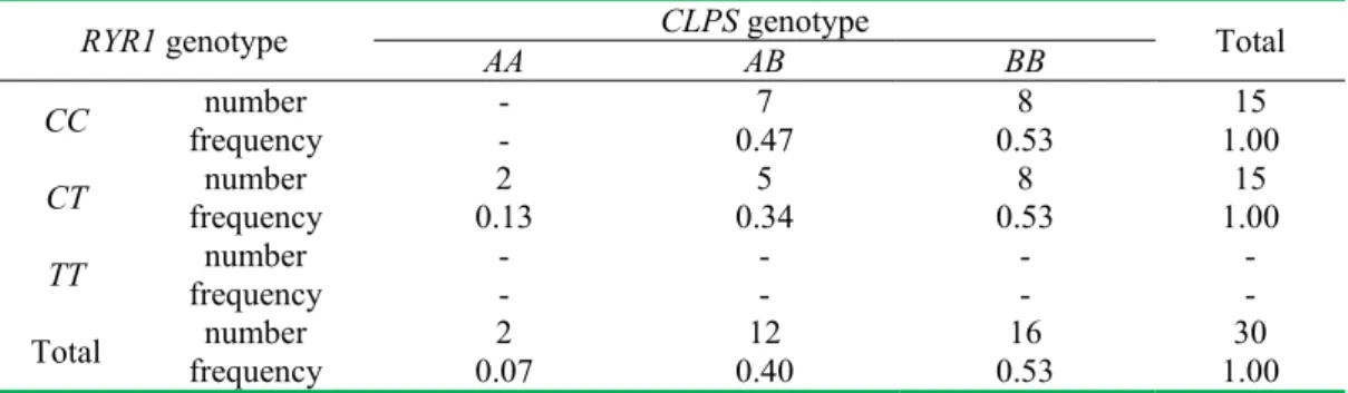 Table 1. Frequency of genotypes at locus CLPS and RYR1 Tabela 1 Frekwencja genotypów w locus CLPS oraz RYR1