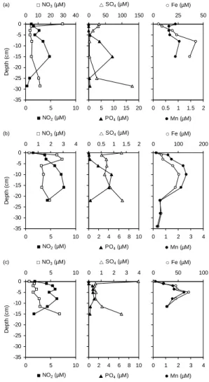 Fig. 7. Concentration–depth profiles for N-species, sulfate, phos- phos-phate, Fe and Mn in the porewater of Lake Shirokoe (a), Lake Yamsovey (b) and Lake Khasyrei (c).
