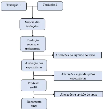 Figura 2. Fluxograma do processo de Adaptação transcultural do EGP. 