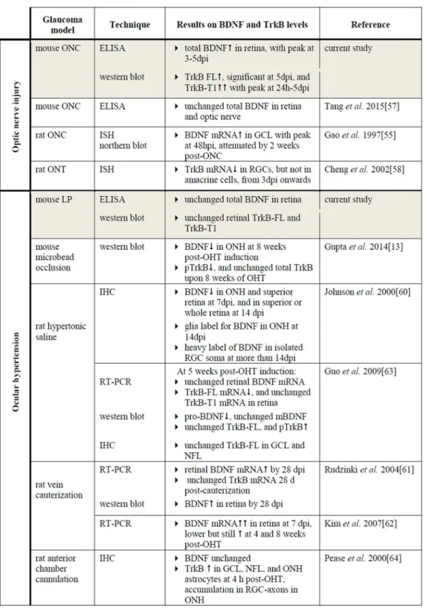 Fig 9. Literature overview on retinal BDNF and TrkB expression in murine optic nerve injury and OHT models