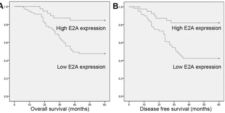Figure 2. Kaplan-Meier survival curves for OS and DFS stratified by E2A expression. (A) OS for high and low E2A expression patients; (B) DFS for high and low E2A expression patients