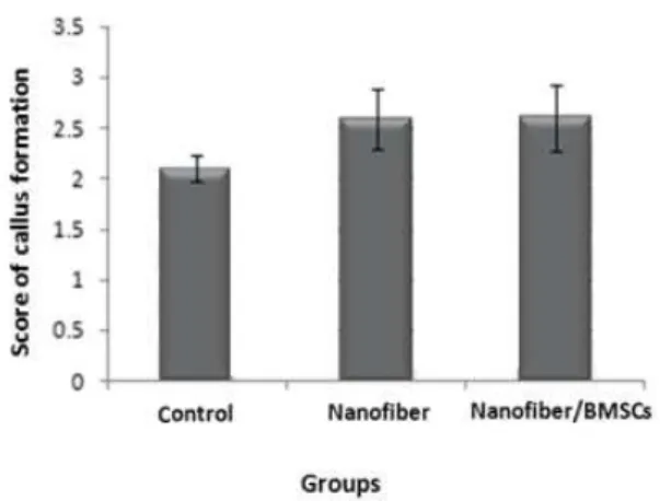 Diagram 2.  Comparison of the mean bone callus formation among  the groups four weeks after grafting 