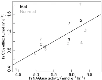 Fig. 9. Relationship between NAGase (chitinase) enzyme activity and soil surface flux