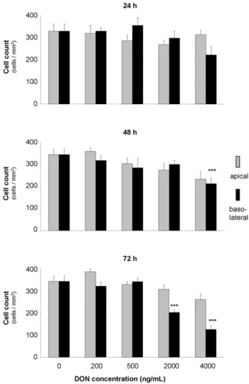 Figure 1. Effect of deoxynivalenol (DON) on total cell count of IPEC--J2. Cells were grown on inserts and incubated for 24, 48 or 74 hours with DON (0–4000 ng/mL) applied from apical or basolateral side in complete medium