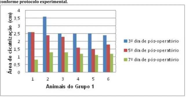 Figura  1.  Evolução  da  cicatrização  em  animais  normais  tratados  com  ácido  ascórbico  conforme protocolo experimental