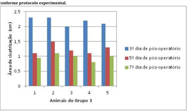 Figura 4. Evolução da cicatrização em animais diabéticos não tratados com ácido ascórbico  conforme protocolo experimental