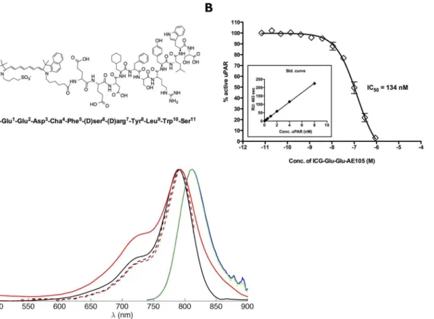 Fig 1. Structure and binding affinity for ICG-Glu-Glu-AE105. (A) The chemical structure of ICG-Glu-Glu-AE105 (B) Assessing uPAR binding properties of ICG-Glu-Glu-AE105 by an indirect solution competition for uPA binding by surface plasmon resonance yieldin