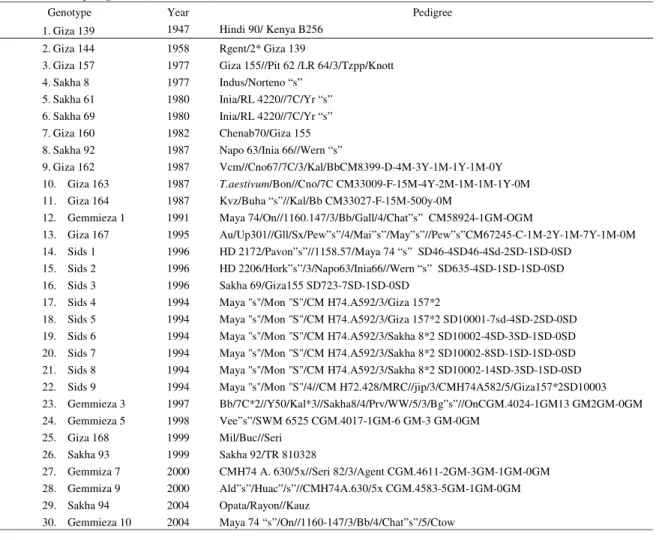 Table 1. Thirty Egyptian bread wheat genotypes used for genotyping with microsatellite  marker, year of released and their  pedigree