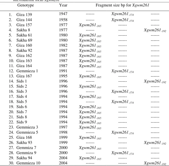 Table  4.  Classification  of  Egyptian  bread  wheat  genotypes  for  allelic  variation  at  the  Gatersleben  wheat  microsatellite locus Xgwm261 