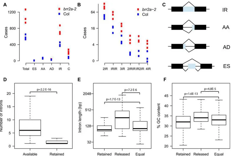 Fig 6. Intron retention in brr2a -2. (A) Number of alternative splicing events (AS) based on three biological replicates each of Col and brr2a-2