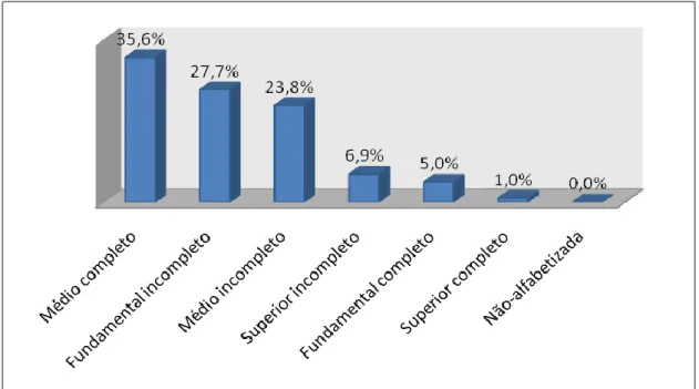 Figura  3:  Distribuição  de  entrevistas  segundo  grau  de  escolaridade,  Palmas-TO,  2009 