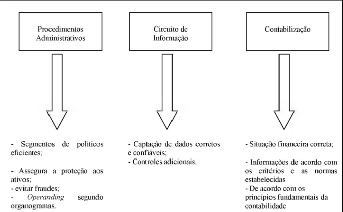 Figura 6 -  Objetivos  dos  Controles Internos