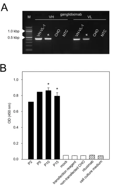 Fig 3. Establishment of a cell line stably producing ganglidiximab. CHO cells were stably co-transfected with two generated expression plasmids (p3-ganglidiximab-HC/ p3-ganglidiximab-LC) and a cell clone