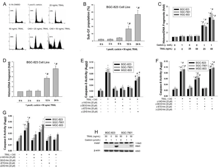 Figure 2. Effects of casticin on TRAIL-induced apoptosis in gastric cancer cells. Casticin enhanced TRAIL-induced apoptotic cell death measured using flow cytometric analysis (A and B), cell apoptosis ELISA detection kit (C and D) in BGC-823, SGC-7901, and