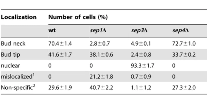 Table 2. Localization of Sep2-GFP fusion in different septin mutant backgrounds.
