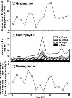 Figure 6. Temporal changes in the grazing rate of Calanus glacialis C5 (a), integrated size- size-fractionated chlorophyll a (b) and the grazing impact of C