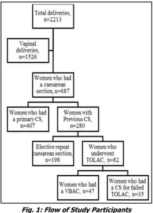 Fig. 1: Flow of Study Participants 