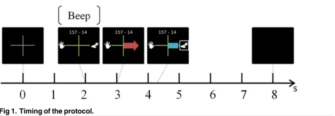 Fig 1. Timing of the protocol.